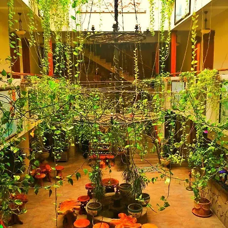 Kervansaray - Special Category 3* Assos