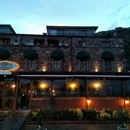 阿索斯卡文萨瑞酒店 - 特殊类别
