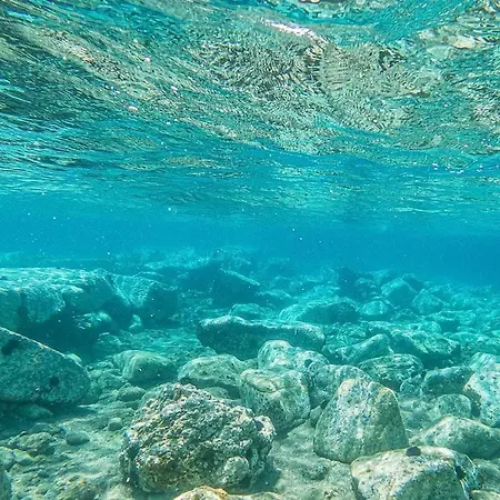 Kervansaray - Special Category Assos